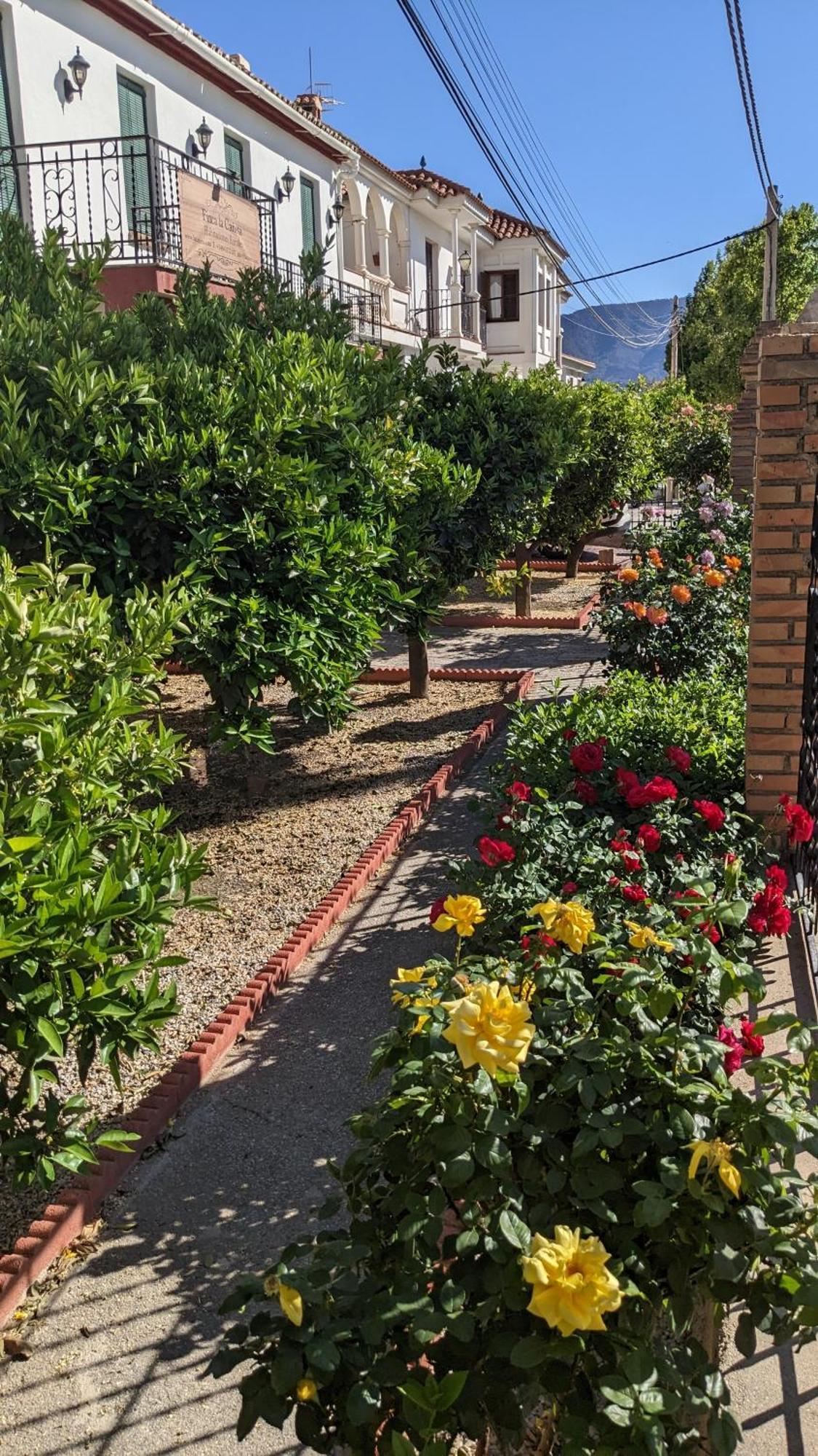 La Cañota King Rooms Adults Only Talara Exterior foto